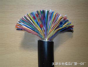 HYA53全塑鎧裝通信電纜 現(xiàn)代通訊網(wǎng)絡(luò)的堅(jiān)固基石